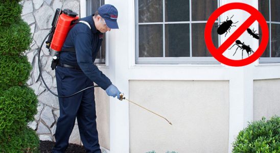 Döşemealtı Dezenfeksiyon böcek ilaçlama ve haşere kontrolü — ilaclama-tr.com